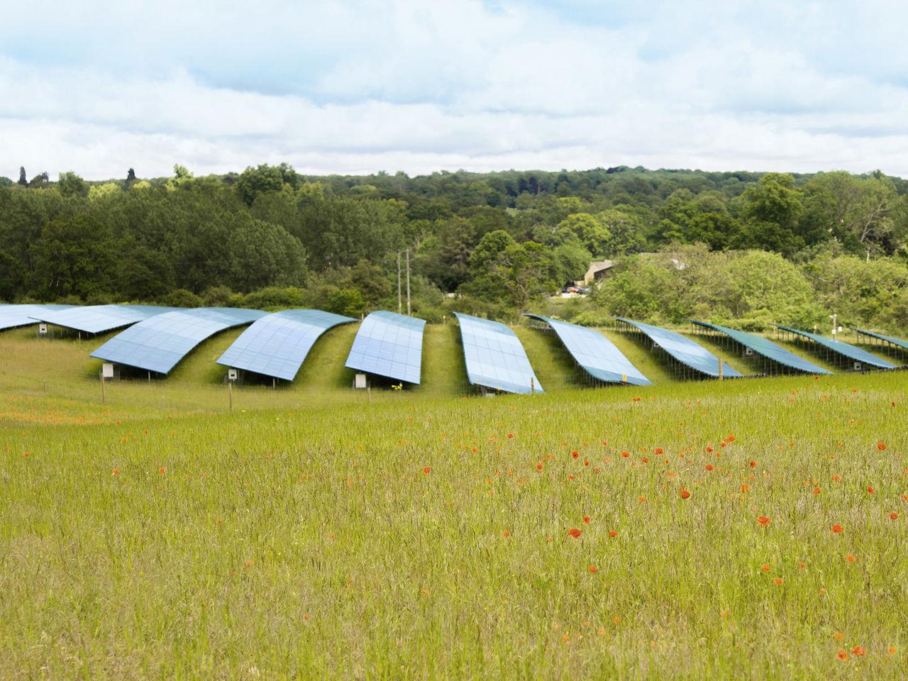 Solar panels on green grass.